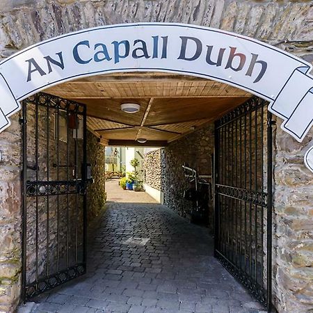 An Capall Dubh B&B 丁格尔 外观 照片