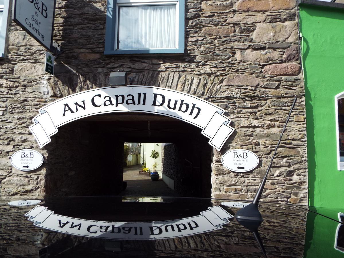 An Capall Dubh B&B 丁格尔 外观 照片