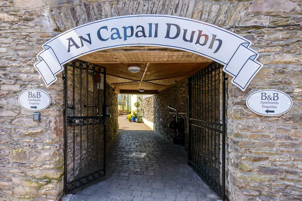 An Capall Dubh B&B 丁格尔 外观 照片
